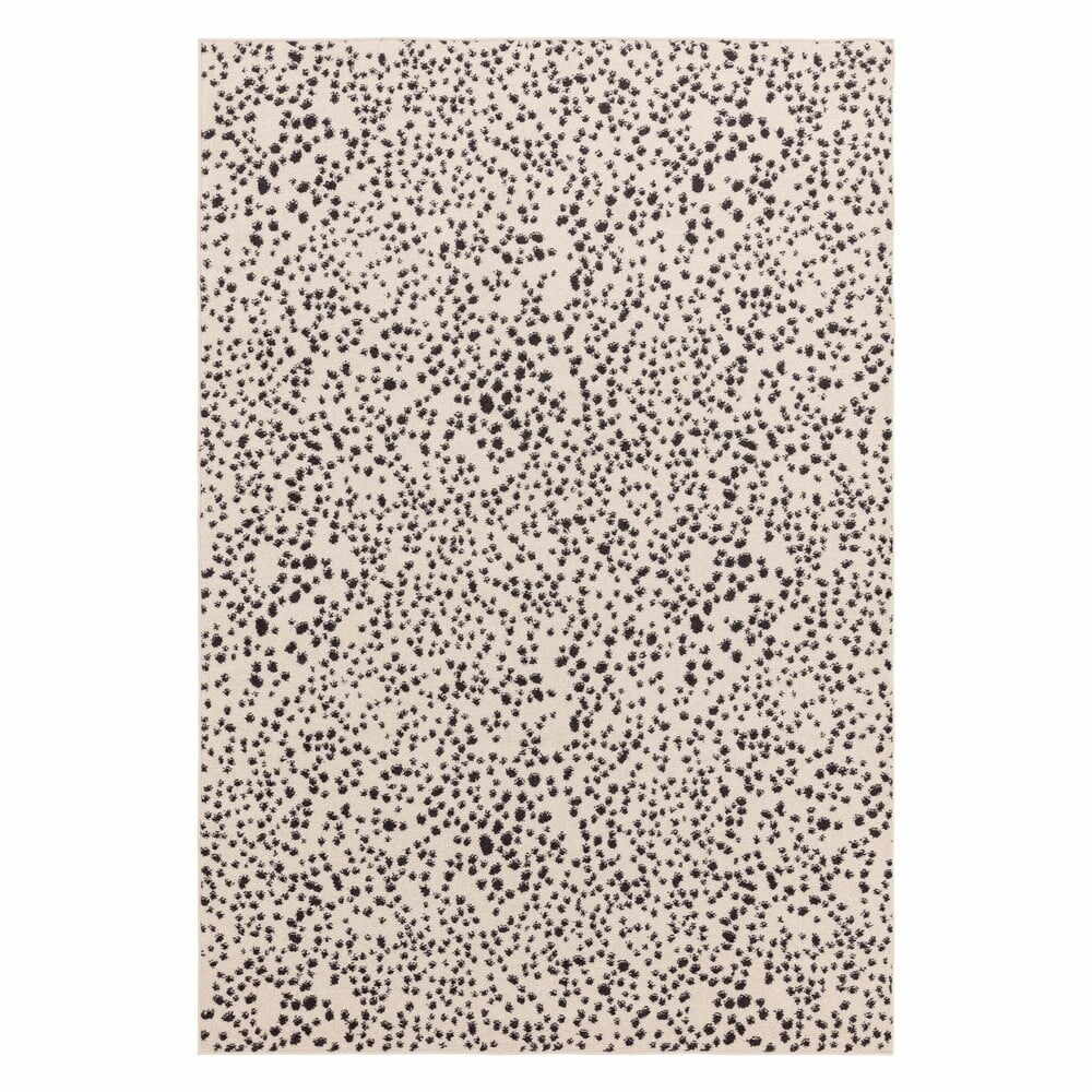 Covor negru-alb 120x170 cm Muse – Asiatic Carpets